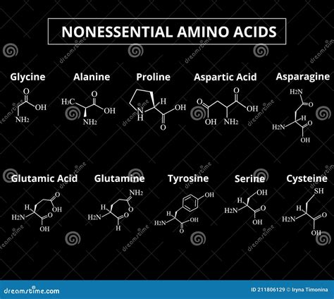 Nonessential Amino Acids A Set Of Amino Acids Chemical Molecular