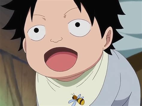 With tenor, maker of gif keyboard, add popular ace one piece animated gifs to your conversations. Image - Ace as an Infant.png | One Piece Wiki | FANDOM ...