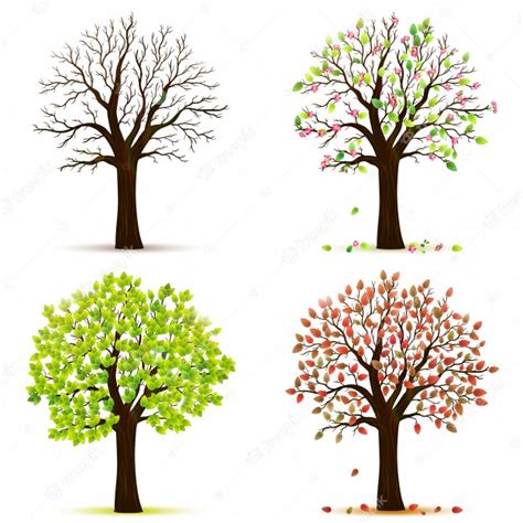Premium Vector Four Seasons Trees Vector