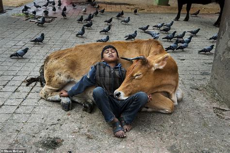New Book Stories And Dreams By Photographer Steve Mccurry Contains
