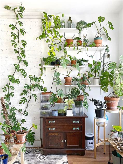 Transform Your Space With Plant Wall Shelves For Indoors