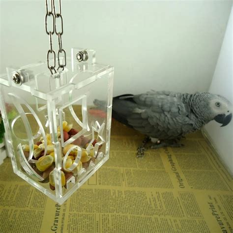 Pcs New Parrot Bird Cage Feeder Acrylic Hang Foraging Toys Pet Treat Hunt Macaw Cockatoofunny