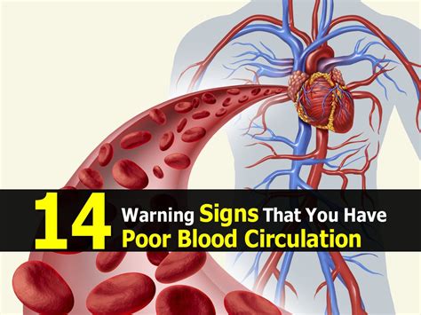 14 Warning Signs That You Have Poor Blood Circulation
