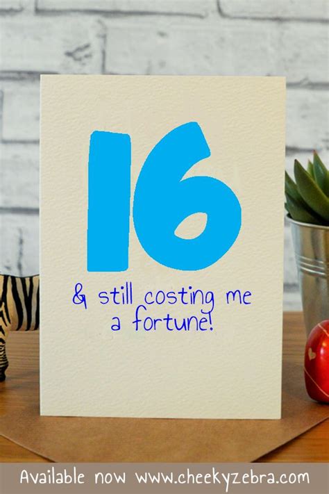 Funny 16th Birthday Card For Boys This Hilarious Birthday Card Is
