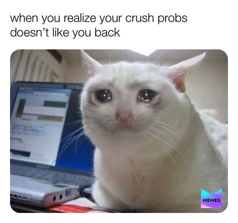 Download meme pfp for instagram these pictures of this page are about:instagram meme pfp. 29 Funny Cat Pfp Meme - Woolseygirls Meme