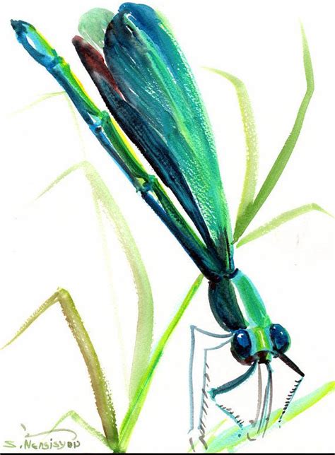 Dragonfly Original Watercolor Painting Portrait By Originalonly 2300