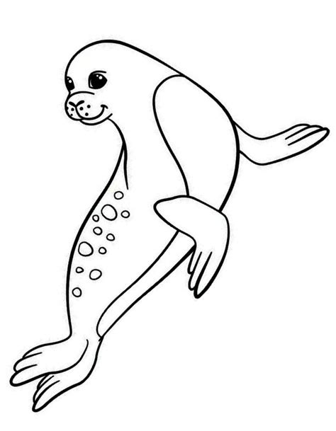Monk Seal Coloring Page Coloring Us
