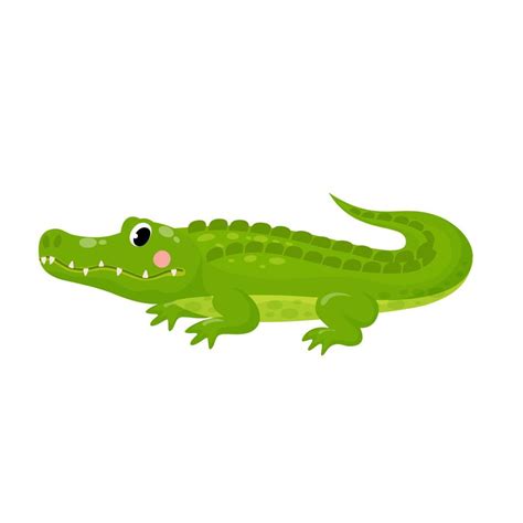 Cute Cartoon Baby Crocodile