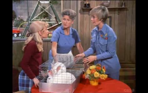 Cliff And Kendall Coast 2 Coast The Brady Bunch Season 5 Episode