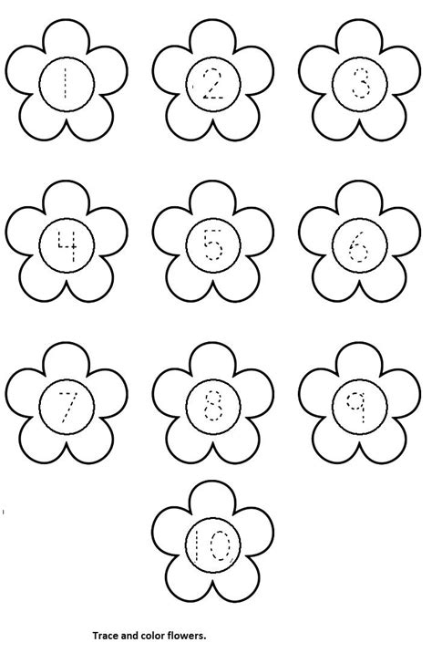 flower worksheet crafts  worksheets  preschooltoddler  kindergarten worksheets