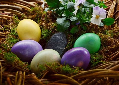 Während die katholische kirche zum andenken an die verstorbenen den feiertag allerseelen im programm führt, lehnte die reformation einen speziellen totengedenktag zunächst ab. Wann ist Ostersonntag? - Ostersonntag ist das nächste mal ...