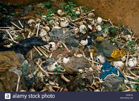 The rwandan genocide, also sometimes known as the genocide against the tutsi,2 occurred between 7 april and justice system after genocide. Bones of victims in a massacre left in a house in Rwanda ...