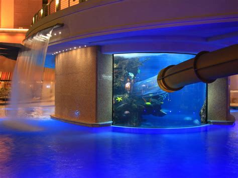 Maybe you would like to learn more about one of these? Best Family Pools in Las Vegas for Kids | Family Vacation ...