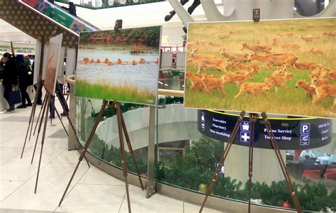 The mystical gift shop specialises in high quality mystical and magical gifts and collectables. Kazakhstan Souvenirs. THE 10 BEST Kazakhstan Gift ...