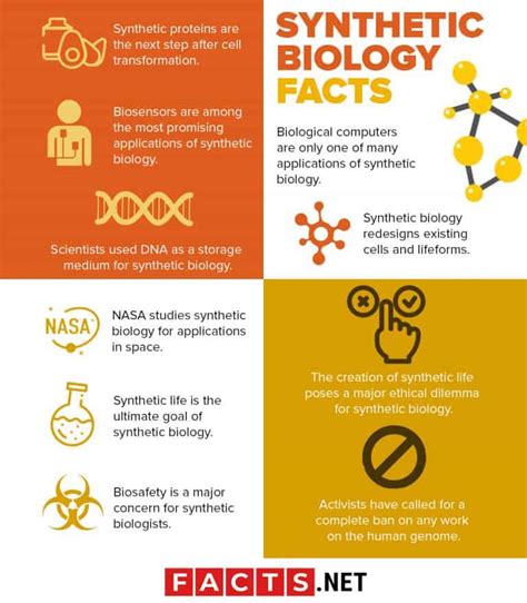 30 Intriguing Synthetic Biology Facts That Show Why Its The Future