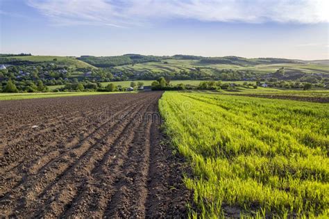 Beautiful Peaceful Spring Wide Panorama Of Plowed And Green Fields Lit
