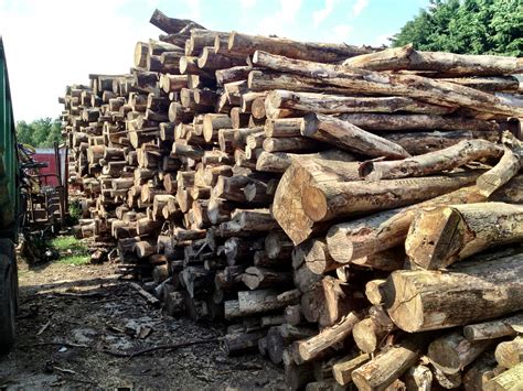 Pile Of Logs Wooden Logs Logs For Sale Wooden