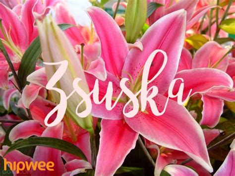 Tahukah anda keempat musim tersebut dalam bahasa inggris? Menakjubkan 28+ Bunga Lili Bahasa Inggrisnya - Gambar ...