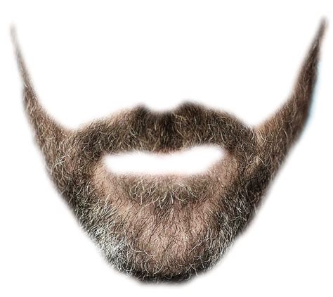 We did not find results for: Beard PNG Transparent Images | PNG All