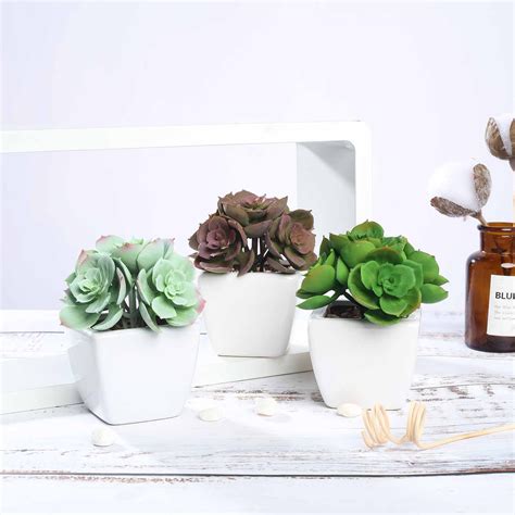 Set Of 3 Assorted Fake Succulents In Pot 5 Assorted Mini