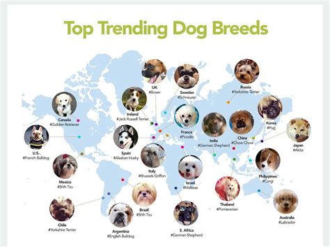 The Internets Favourite Dog Breeds By Country Business Insider