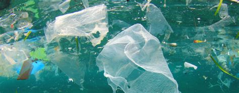 Plastic Disaster How Your Bags Bottles And Body Wash Pollute The
