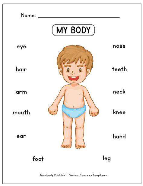 Esl Body Parts Worksheet Kids