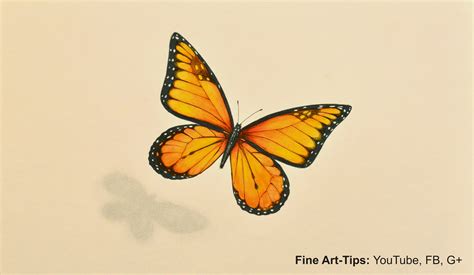 How To Draw A Butterfly For Kids Drawingsforkids Net