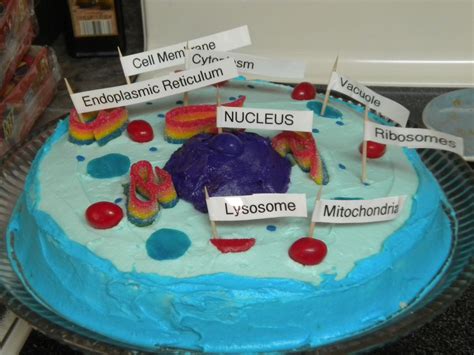 Animal Cell Cake Ideas Edible Cell Cell Cake