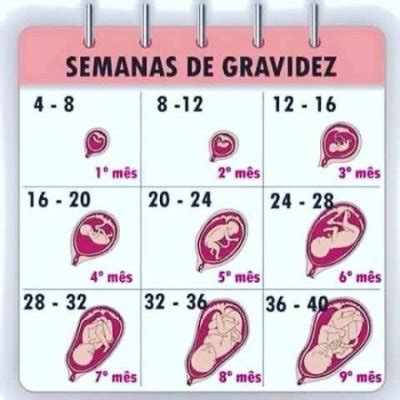 Tabela Gestacional Correta Auguem Me Ajude BabyCenter