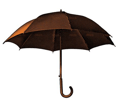 Umbrella Png Transparent Image Download Size 1184x973px