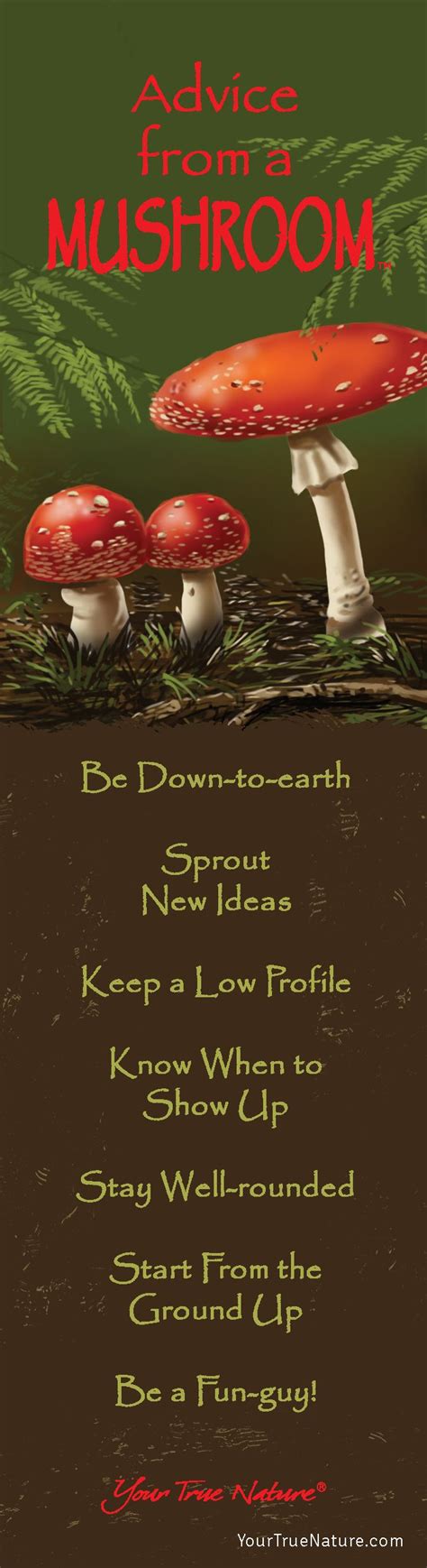 Mushroom Quote Mushrooms Quotes Page 2 A Z Quotes Bush And