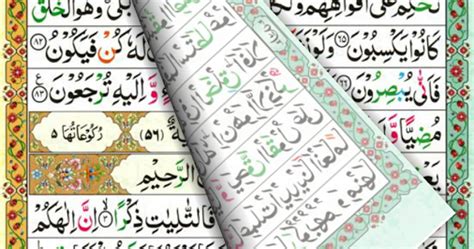 Quran 411 Colour Coded Tajweed Quran