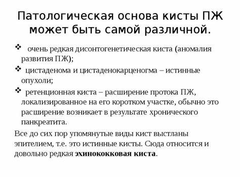 Диета при киста поджелудочной железы Киста Поджелудочной Железы Лечение Питание Диета — Похудение Диета Киста Поджелудочной Железы Лечение Питание Диета — Похудение Диета Диета при киста поджелудочной железы
