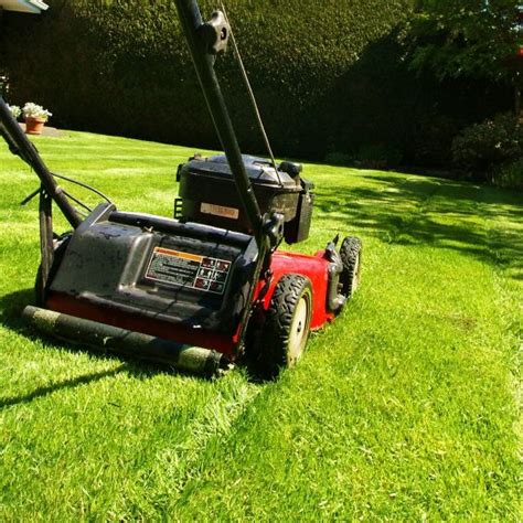 Cut Like A Pro The Best Lawn Mowing Patterns