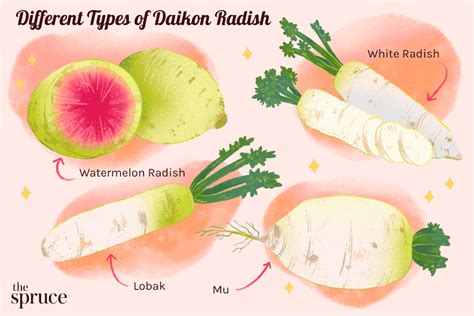 What Is Daikon Radish