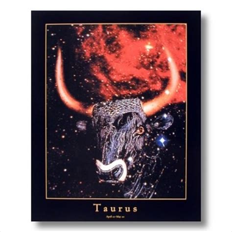 Taurus Bull Horn Zodiac Sign Astrology Wall Picture 16×20 Art Print