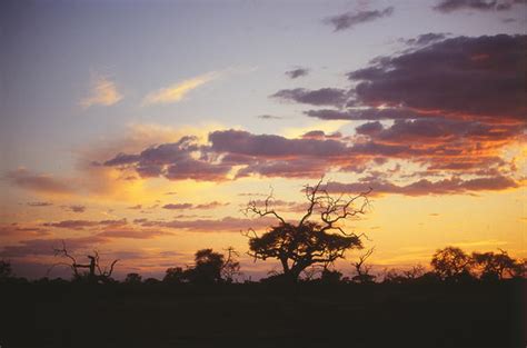 Kruger Dawn to Dusk - Kruger National Park Travel Article...