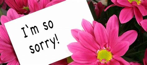 Sending flowers as an apology is a thoughtful way to show a loved one you care for them and that you're sorry. Flowers to Say Sorry Online | Sorry gifts, Online flower ...