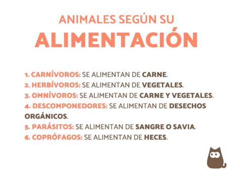 ClasificaciÓn De Los Animales Según Su AlimentaciÓn 2022