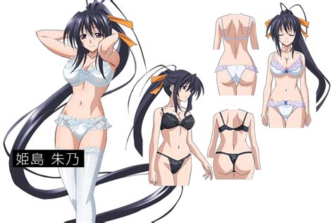 Akeno Akeno Himejima Photo 36741319 Fanpop