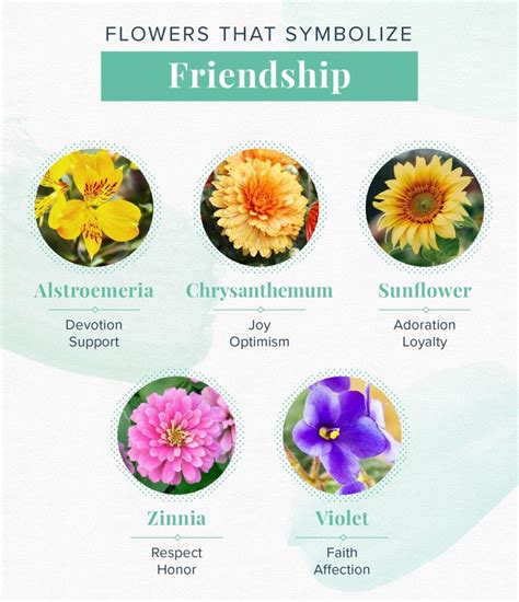 Language Of Flowers Meanings List Best Flower Site
