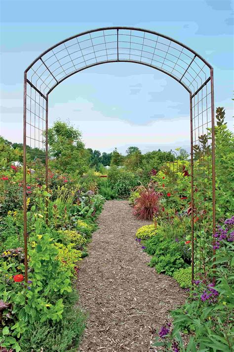 Garden Trellis Ideas To Make Your Garden More Beautiful