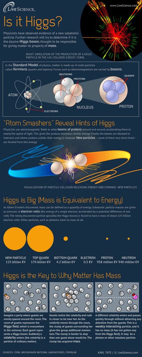Higgs Boson Simplified Infographics Mania Higgs Boson Infographic