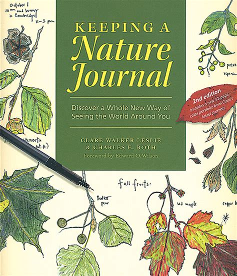 Keeping A Nature Journal Discovering A Whole New Way Of Seeing The