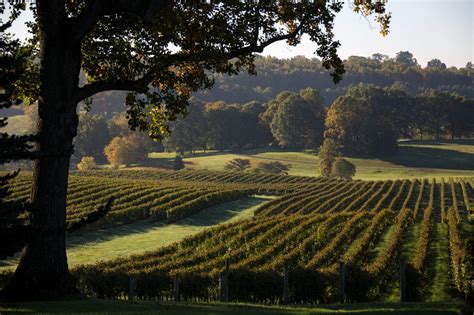 Virginia Launches Its ‘first Wine Trail Of Top Rated Wineries
