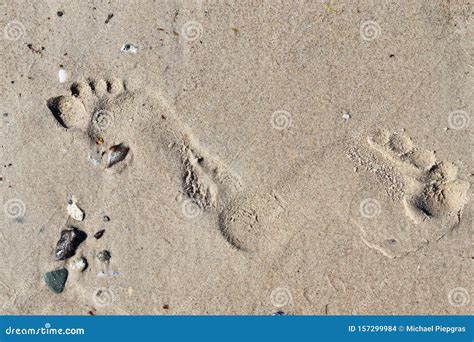 Beautiful Detailed Footprints In The Sand At The Beaches Of The Baltic