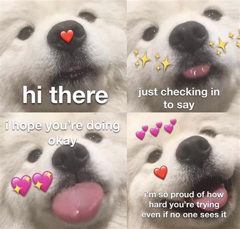 Just Checking In Rwholesomememes Wholesome Memes Know Your Meme