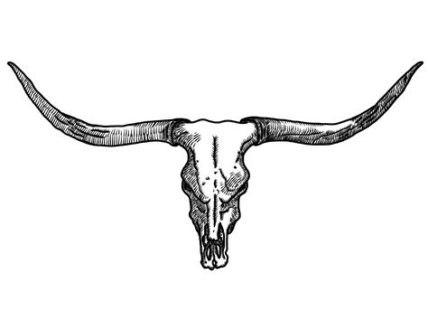 2013 02 110012310000png 2048×1536 Bull Skull Tattoos Bull