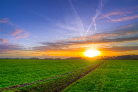 Free Photo Photography Of Green Grass Field During Golden Hour